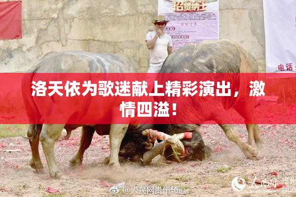洛天依为歌迷献上精彩演出，激情四溢！