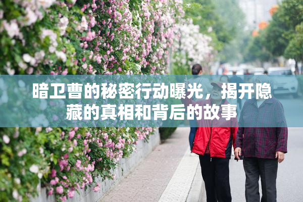 暗卫曹的秘密行动曝光，揭开隐藏的真相和背后的故事