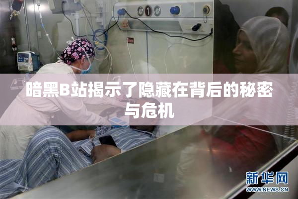 暗黑B站揭示了隐藏在背后的秘密与危机