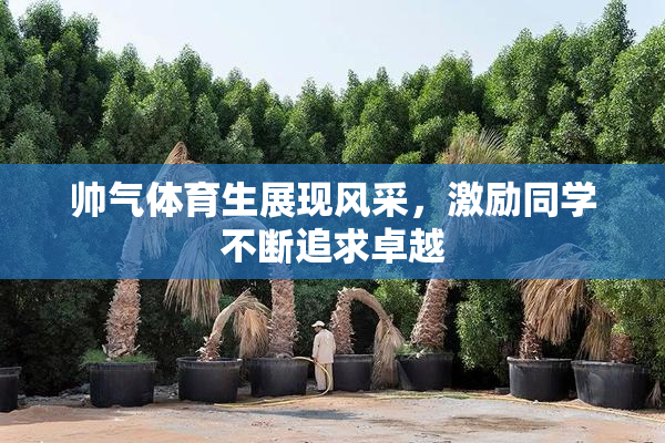 帅气体育生展现风采，激励同学不断追求卓越