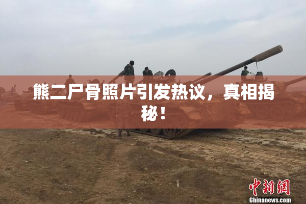 熊二尸骨照片引发热议，真相揭秘！