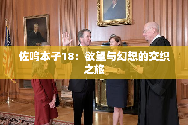 佐鸣本子18：欲望与幻想的交织之旅