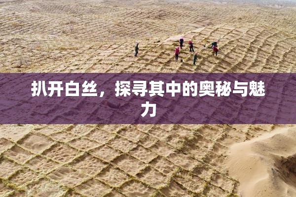 扒开白丝，探寻其中的奥秘与魅力