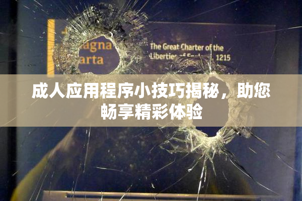 成人应用程序小技巧揭秘，助您畅享精彩体验