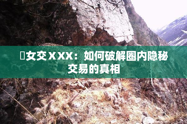 乣女交ⅩXX：如何破解圈内隐秘交易的真相