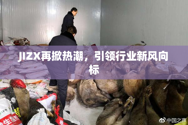 JIZX再掀热潮，引领行业新风向标