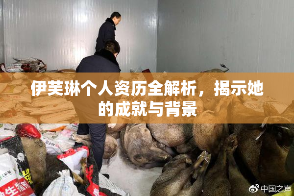 伊芙琳个人资历全解析，揭示她的成就与背景