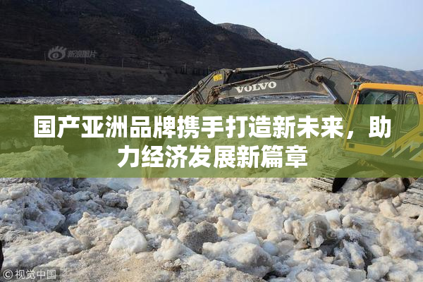国产亚洲品牌携手打造新未来，助力经济发展新篇章