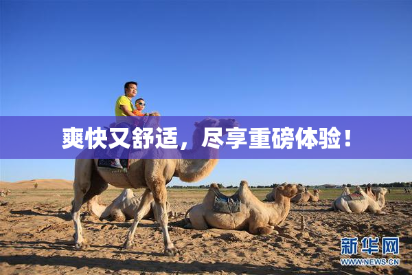 爽快又舒适，尽享重磅体验！