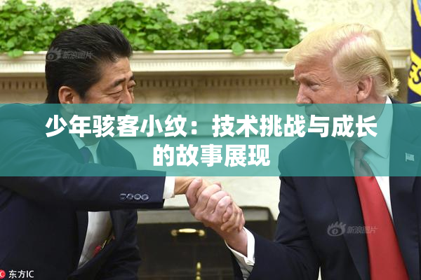 少年骇客小纹：技术挑战与成长的故事展现