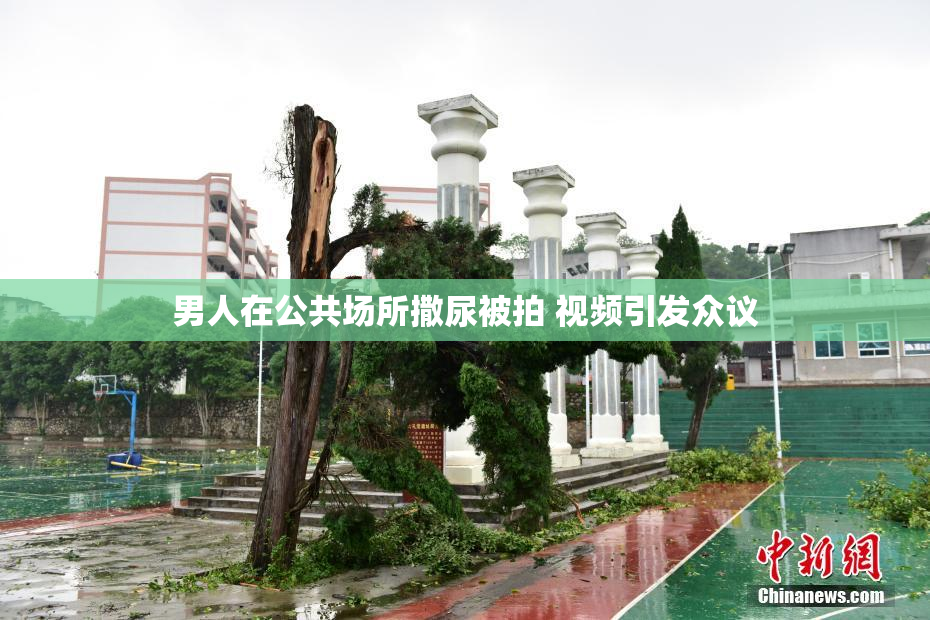 男人在公共场所撒尿被拍 视频引发众议