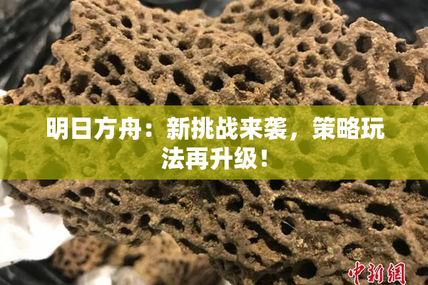 明日方舟：新挑战来袭，策略玩法再升级！
