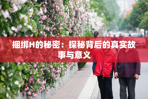 捆绑H的秘密：探秘背后的真实故事与意义