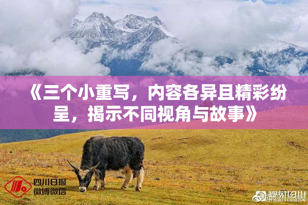 《三个小重写，内容各异且精彩纷呈，揭示不同视角与故事》