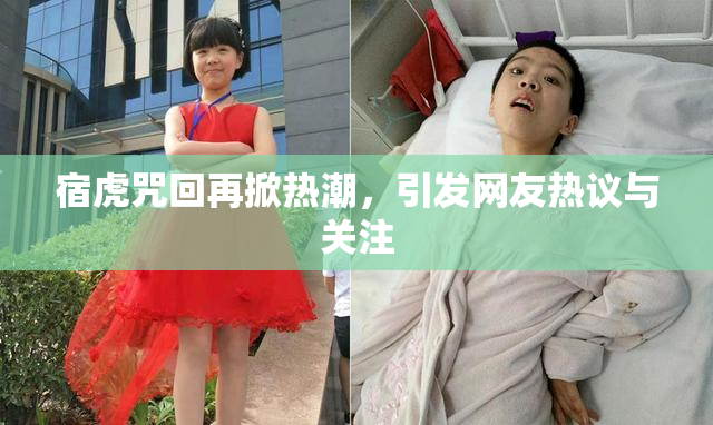 宿虎咒回再掀热潮，引发网友热议与关注