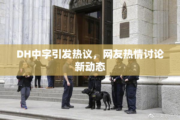 DH中字引发热议，网友热情讨论新动态