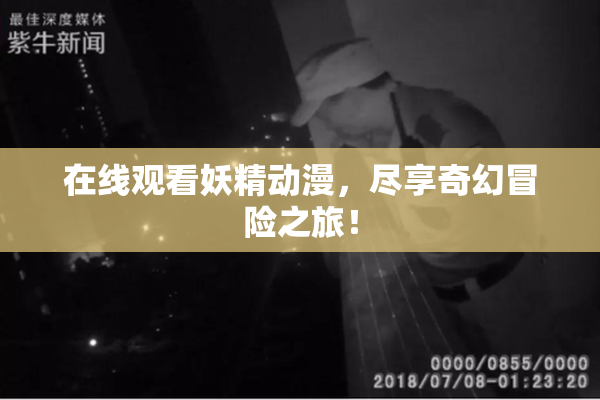 在线观看妖精动漫，尽享奇幻冒险之旅！