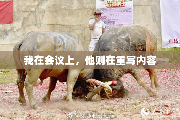 我在会议上，他则在重写内容