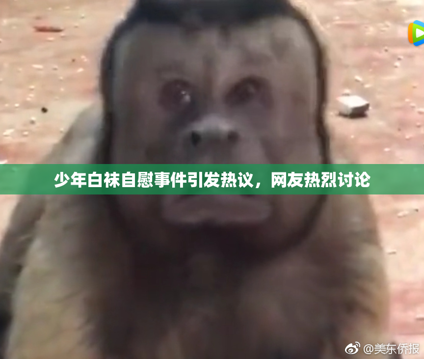 少年白袜自慰事件引发热议，网友热烈讨论