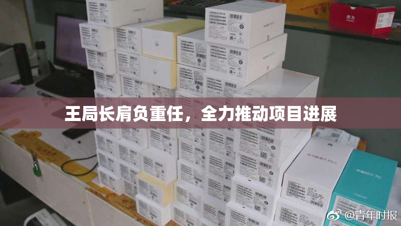 王局长肩负重任，全力推动项目进展