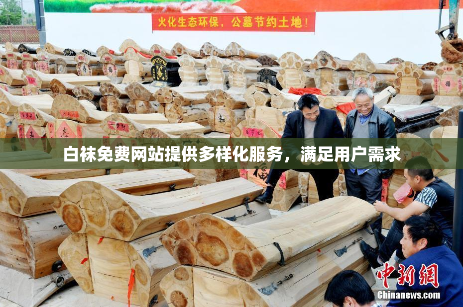 白袜免费网站提供多样化服务，满足用户需求