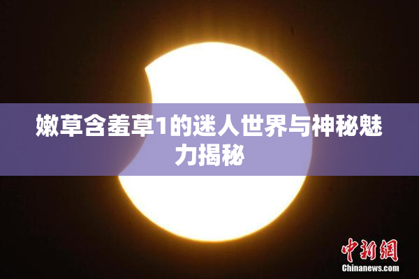 嫩草含羞草1的迷人世界与神秘魅力揭秘