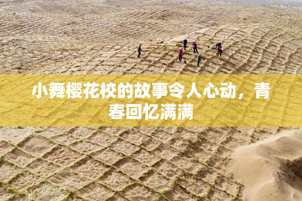 小舞樱花校的故事令人心动，青春回忆满满