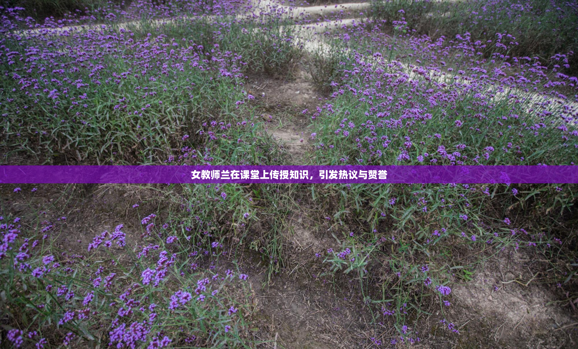 女教师兰在课堂上传授知识，引发热议与赞誉
