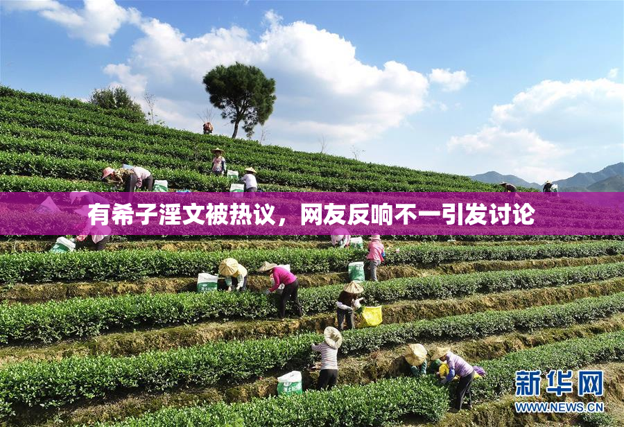 有希子淫文被热议，网友反响不一引发讨论