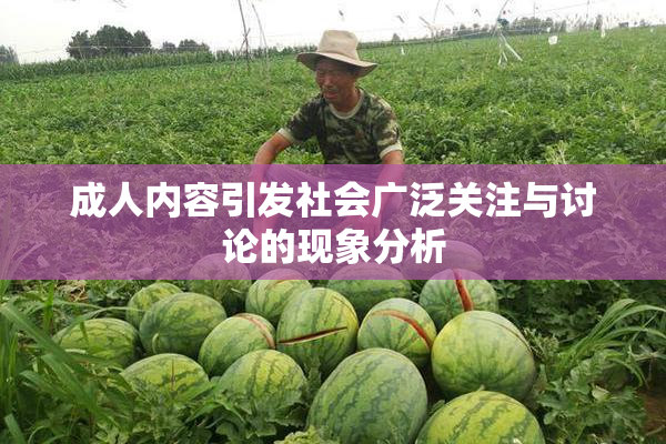 成人内容引发社会广泛关注与讨论的现象分析