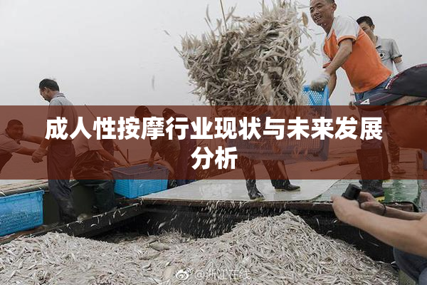成人性按摩行业现状与未来发展分析