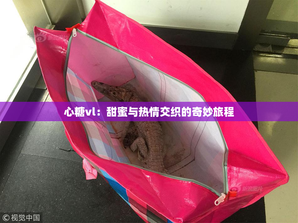 心糖vl：甜蜜与热情交织的奇妙旅程