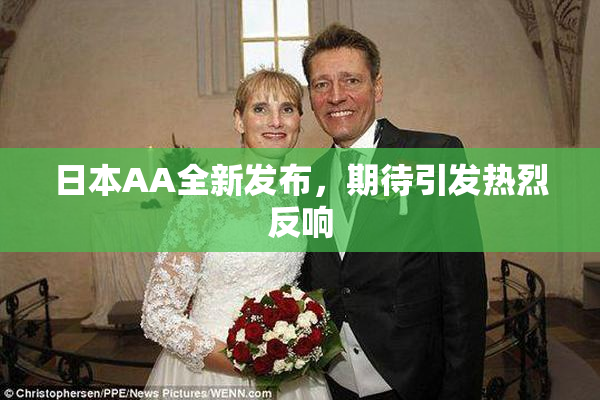 日本AA全新发布，期待引发热烈反响