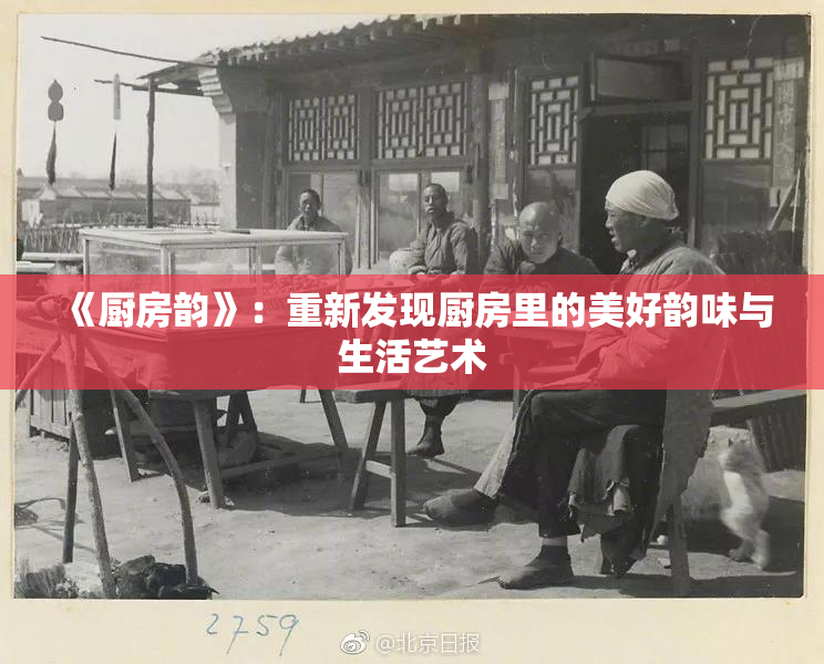 《厨房韵》：重新发现厨房里的美好韵味与生活艺术