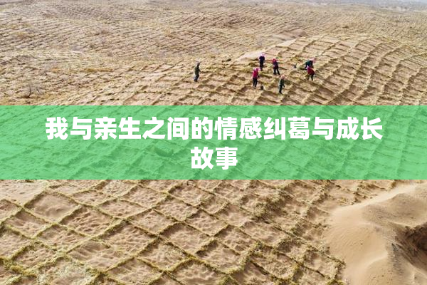 我与亲生之间的情感纠葛与成长故事