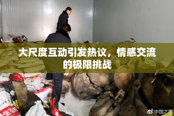 大尺度互动引发热议，情感交流的极限挑战