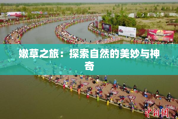 嫩草之旅：探索自然的美妙与神奇
