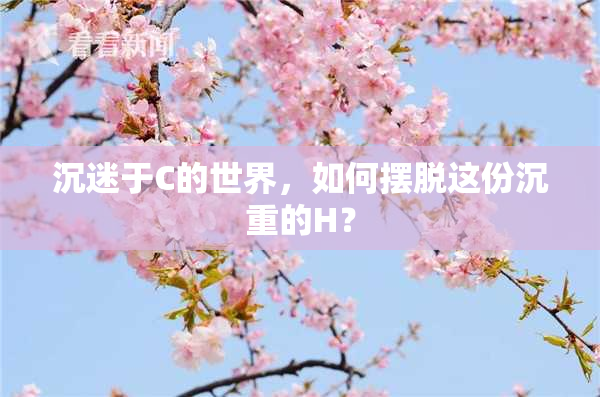 沉迷于C的世界，如何摆脱这份沉重的H？