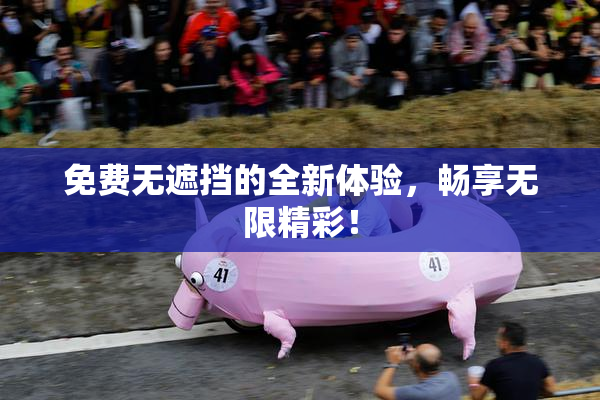 免费无遮挡的全新体验，畅享无限精彩！