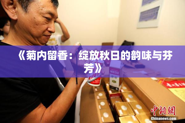 《菊内留香：绽放秋日的韵味与芬芳》