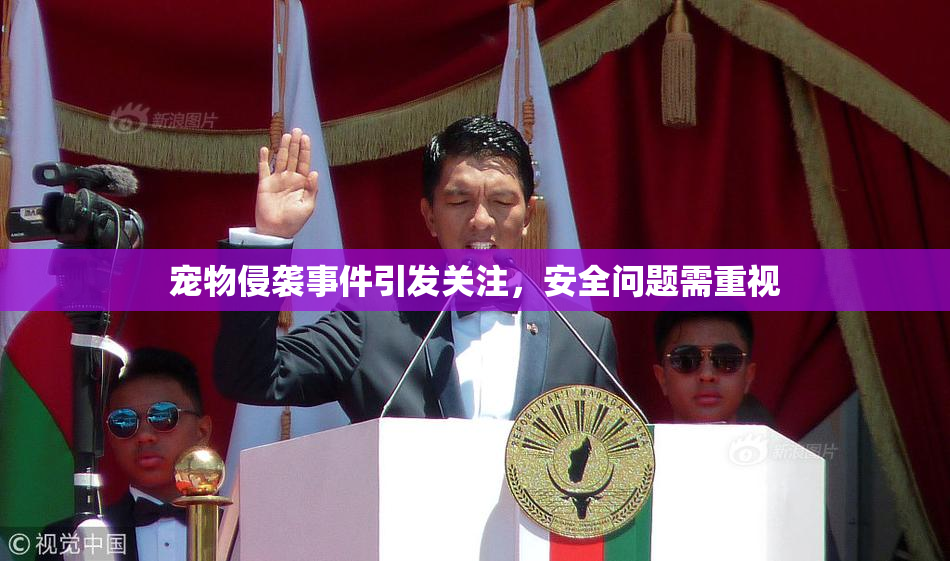 宠物侵袭事件引发关注，安全问题需重视