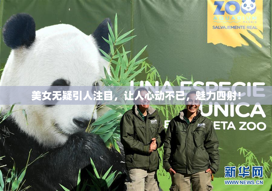 美女无疑引人注目，让人心动不已，魅力四射！
