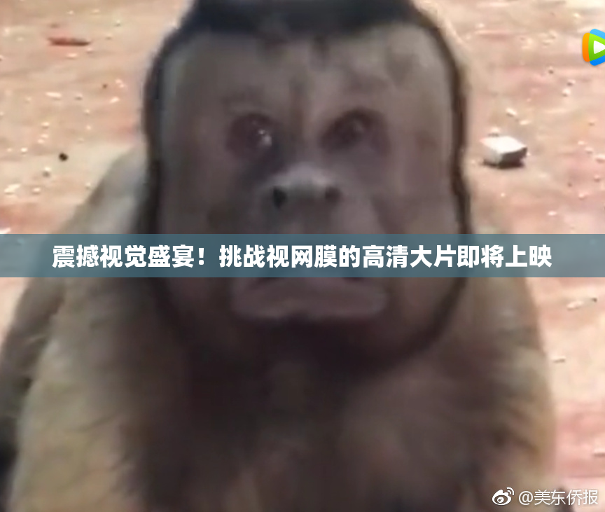 震撼视觉盛宴！挑战视网膜的高清大片即将上映