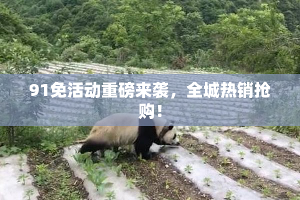91免活动重磅来袭，全城热销抢购！
