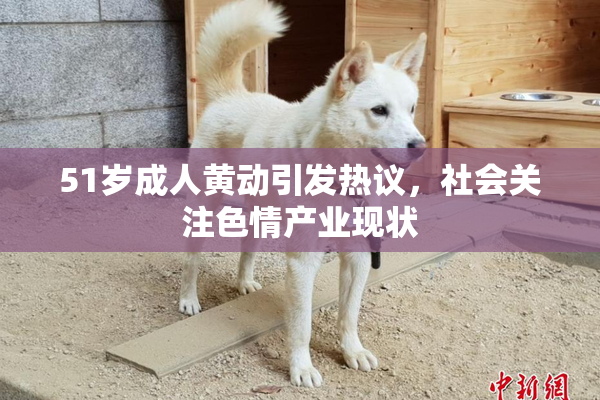 51岁成人黄动引发热议，社会关注色情产业现状
