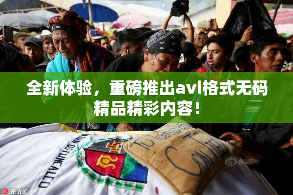 全新体验，重磅推出avi格式无码精品精彩内容！