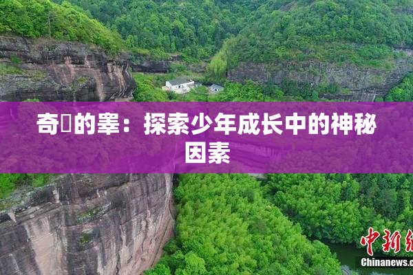 奇犽的睾：探索少年成长中的神秘因素