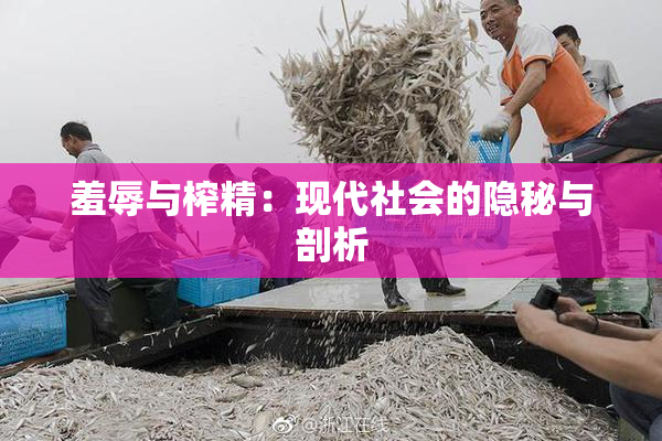 羞辱与榨精：现代社会的隐秘与剖析