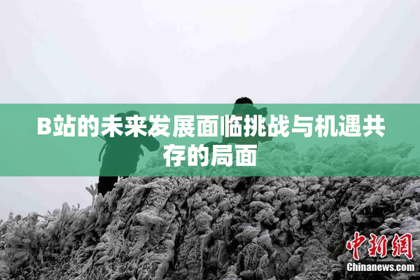 B站的未来发展面临挑战与机遇共存的局面