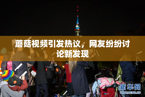 蘑菇视频引发热议，网友纷纷讨论新发现
